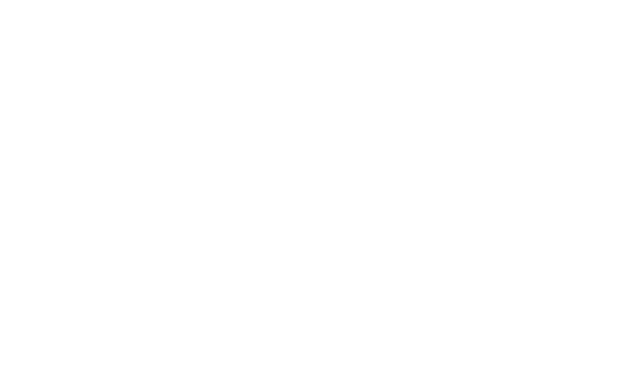 SilverMatter